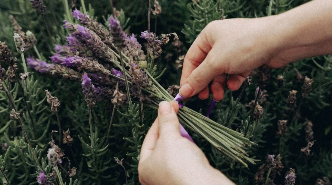 Rituels beauté naturels : cultiver sa routine au jardin