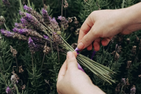 Rituels beauté naturels : cultiver sa routine au jardin