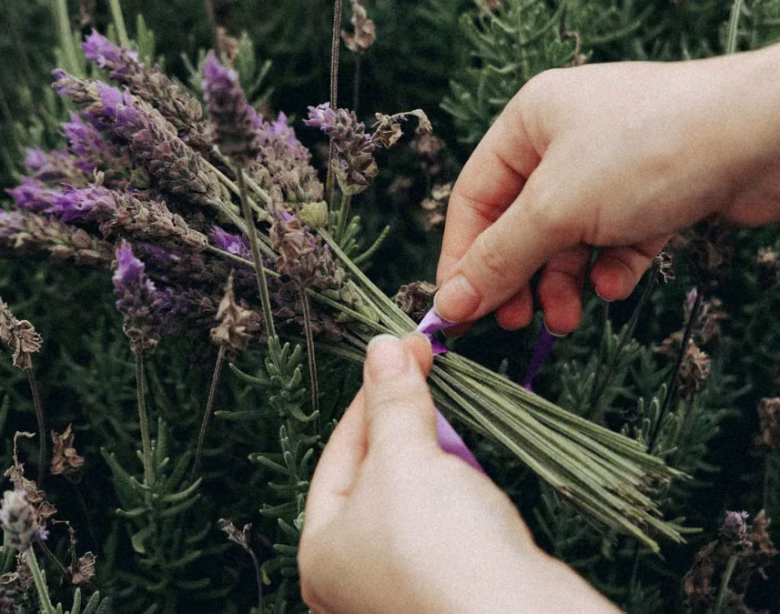 Rituels beauté naturels : cultiver sa routine au jardin