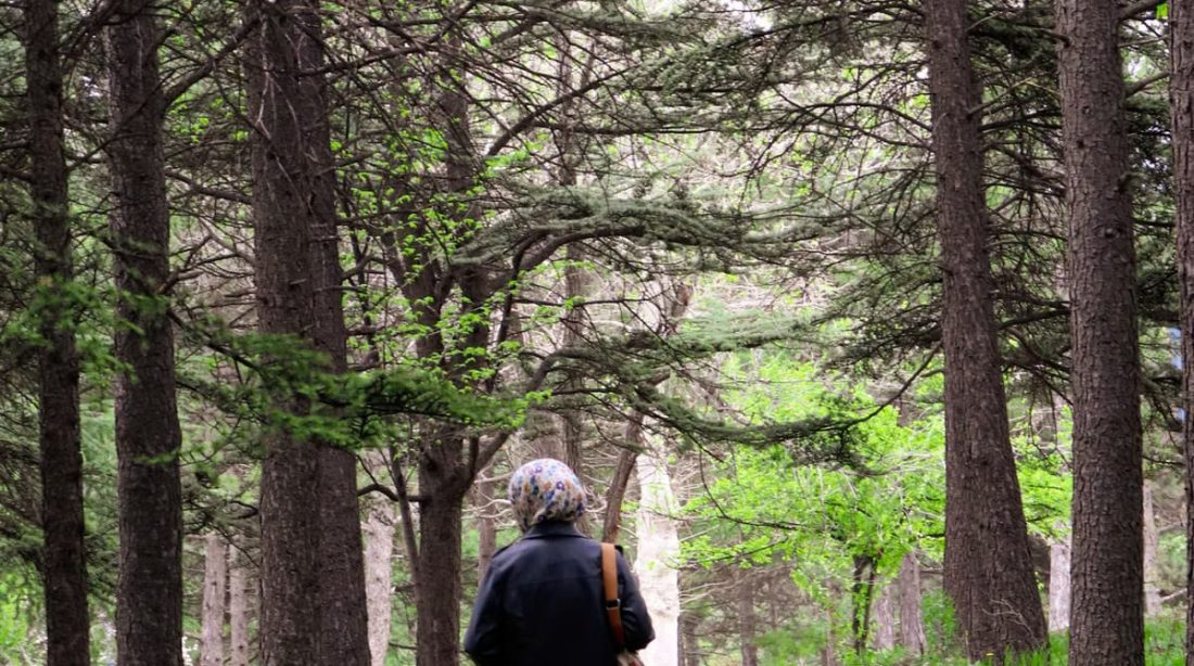 Marche méditative : 5 preuves scientifiques pour votre santé mentale
