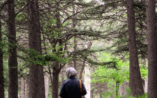 Marche méditative : 5 preuves scientifiques pour votre santé mentale