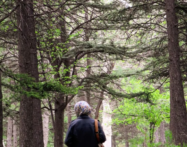 Marche méditative : 5 preuves scientifiques pour votre santé mentale